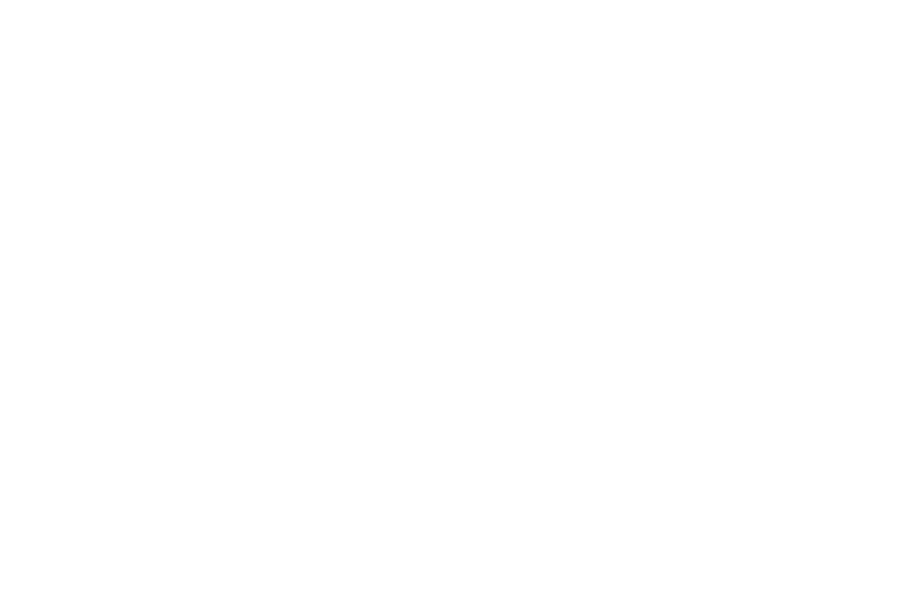 Official Selection — Mostra Internazionale del Cinema di Bracciano, 2026