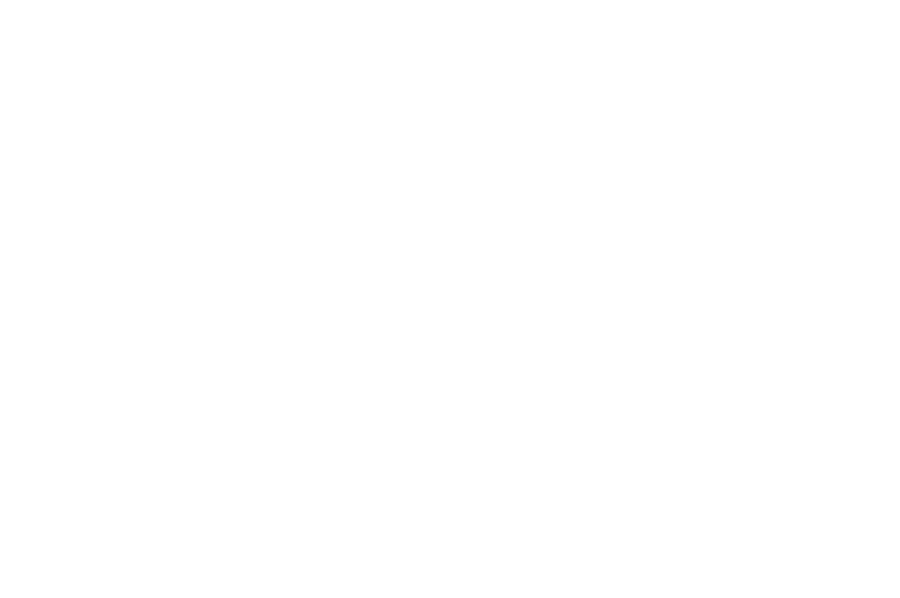 Official Selection — The Fine Arts Film Festival, 2026