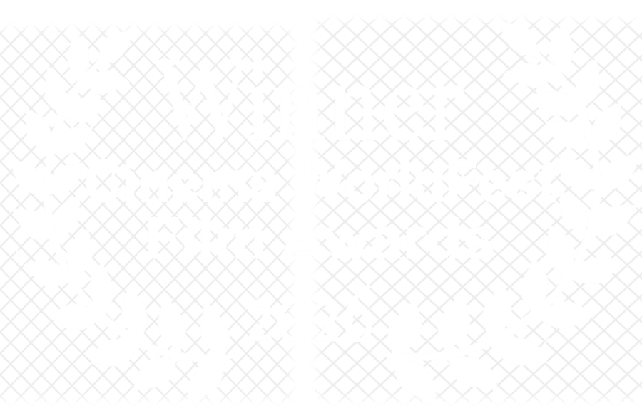 Winner — Cinema WorldFest Film Awards, 2026